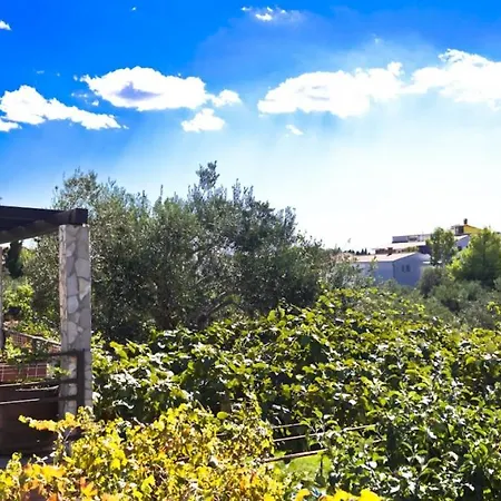 In With W-lan 3338-5 * Rogoznica (Sibenik-Knin)