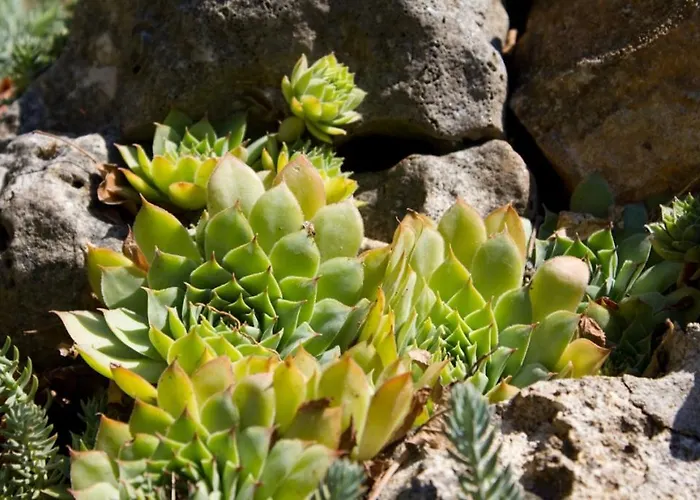 In With W-lan 3338-5 Rogoznica (Sibenik-Knin)